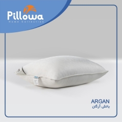 بالش ارگان 