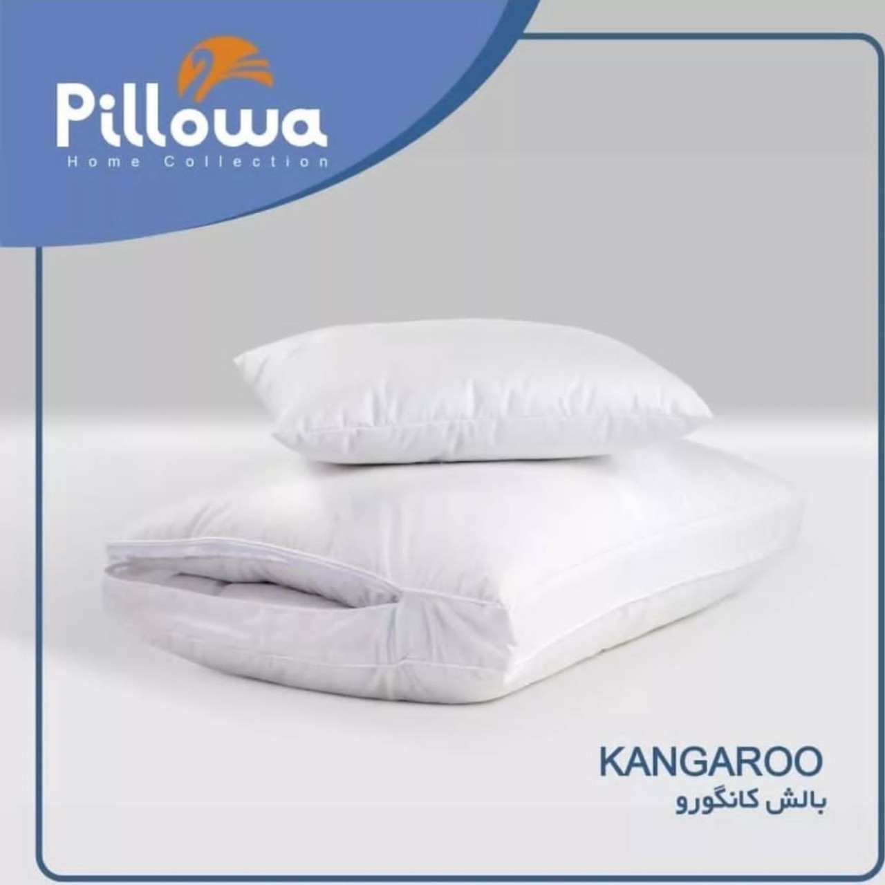 بالش کانگرویی